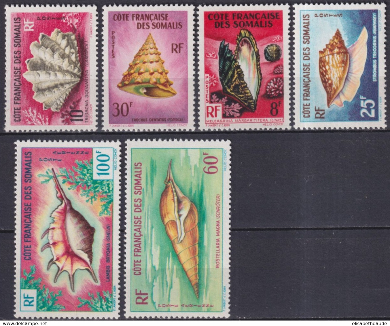 COTE DES SOMALIS - 1962 - SERIE COQUILLAGE AVEC POSTE AERIENNE YVERT N°311/4 + A31/32 ** MNH - COTE = 40 EUR. - - Unused Stamps
