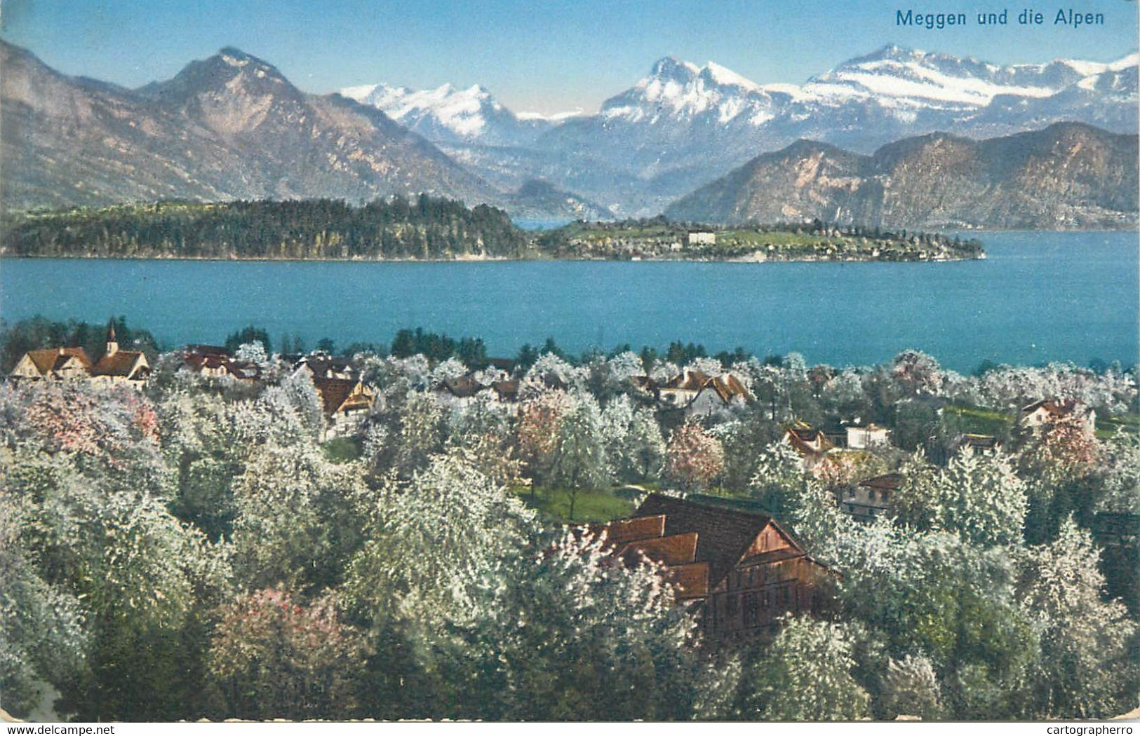 Switzerland Postcard Meggen Und Die Alpen 1922 - Meggen