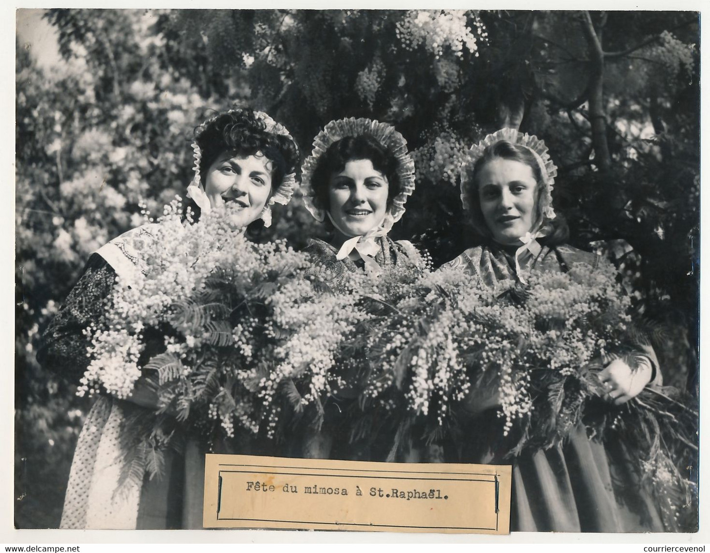 FRANCE - Fête Du Mimosa à Saint-Raphaël / La Côte D'Azur Vit Dans Les Fleurs Et La Joie ... - Anonymous Persons