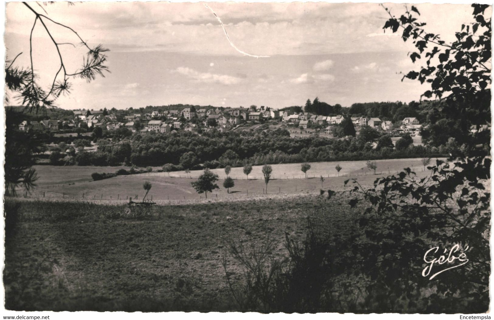 CPA  Carte Postale  France Neuvic D'Ussel,  Vue Générale 1953 VM57447 - Ussel