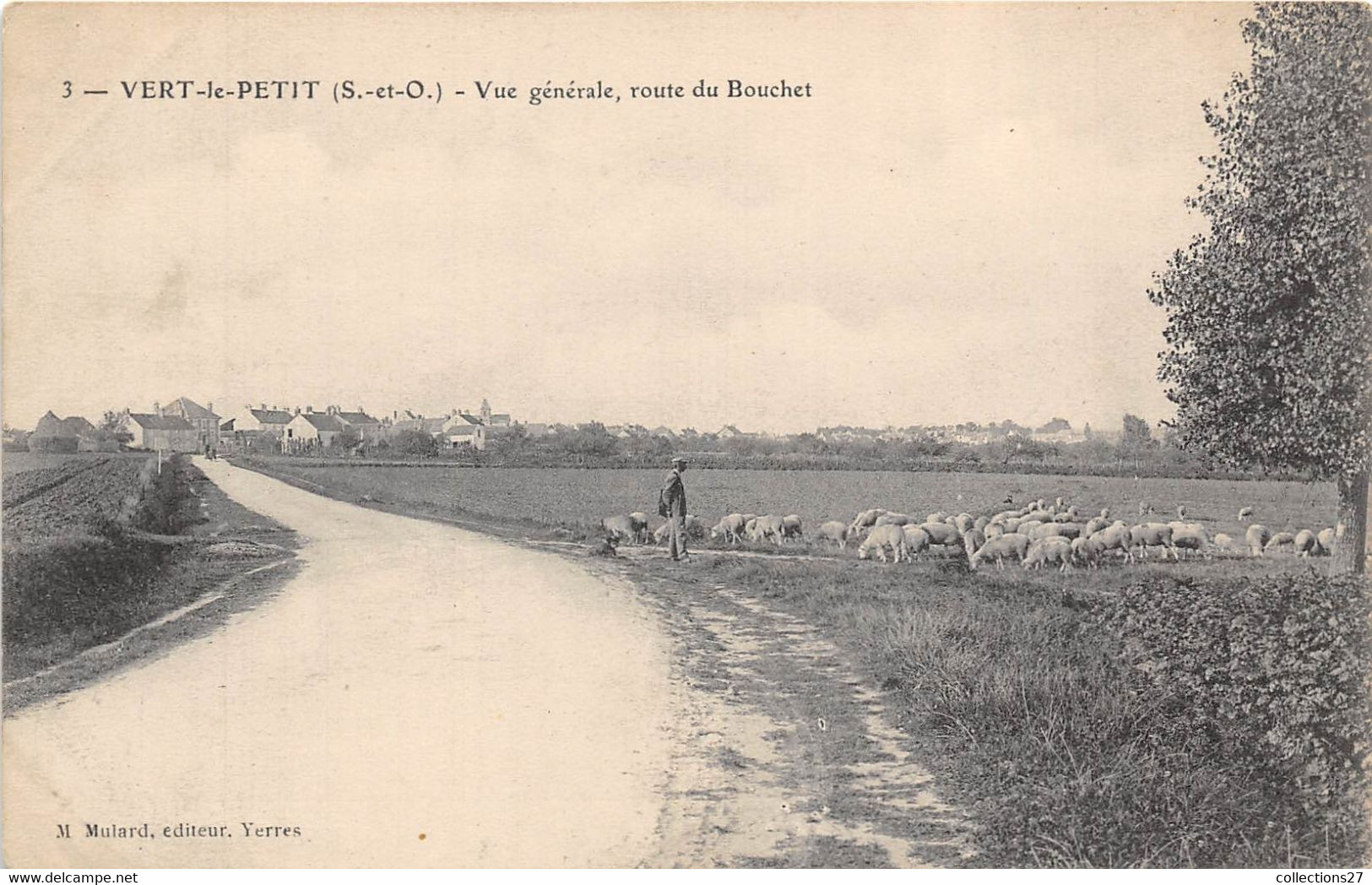 91-VERT-LE-PETIT- VUE GENERALE ROUTE DU BOUCHET - Vert-le-Petit