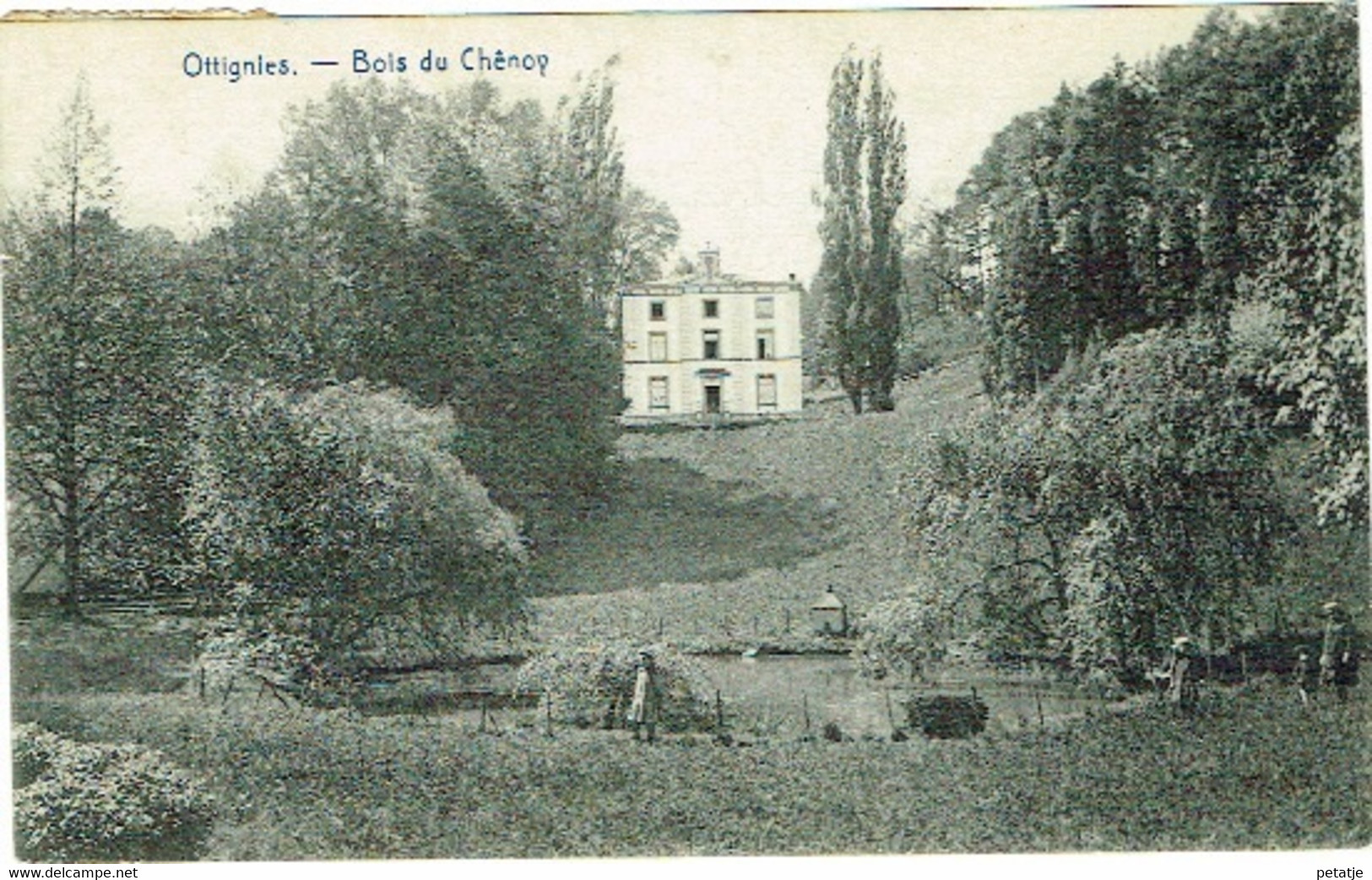 Ottignies , Bois Du Chênoy - Ottignies-Louvain-la-Neuve