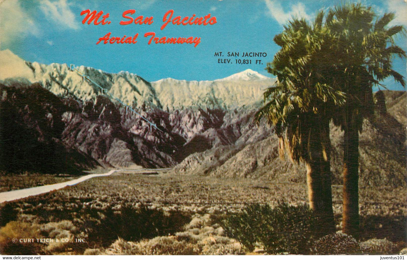 CPSM San Jacinto And The Site Of The Palm Springs Aerial Tramway    L1838 - Palm Springs