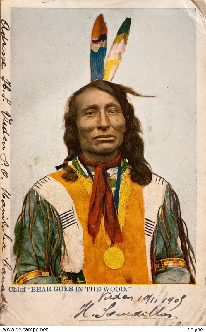Indiens De L’Amérique Du Nord - Chief BEAR GOES IN THE WOOD - Indians Ethnie - Native Americans