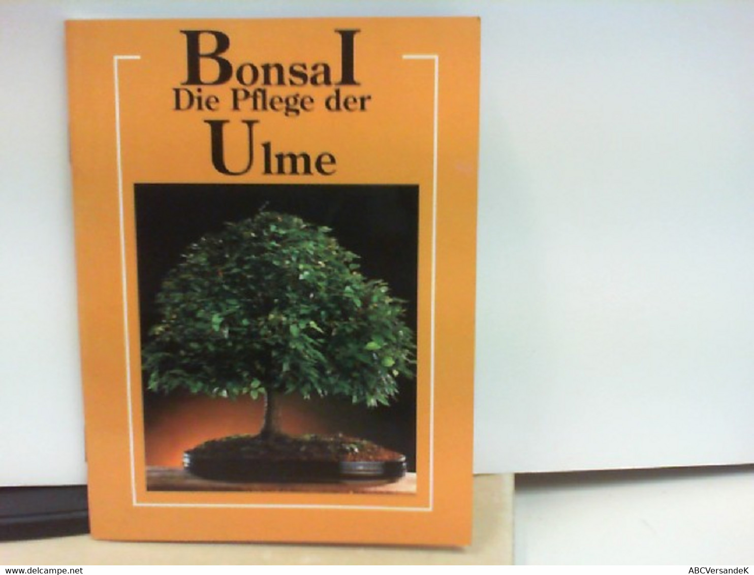 Bonsai - Die Pflege Der Ulme - Botanik