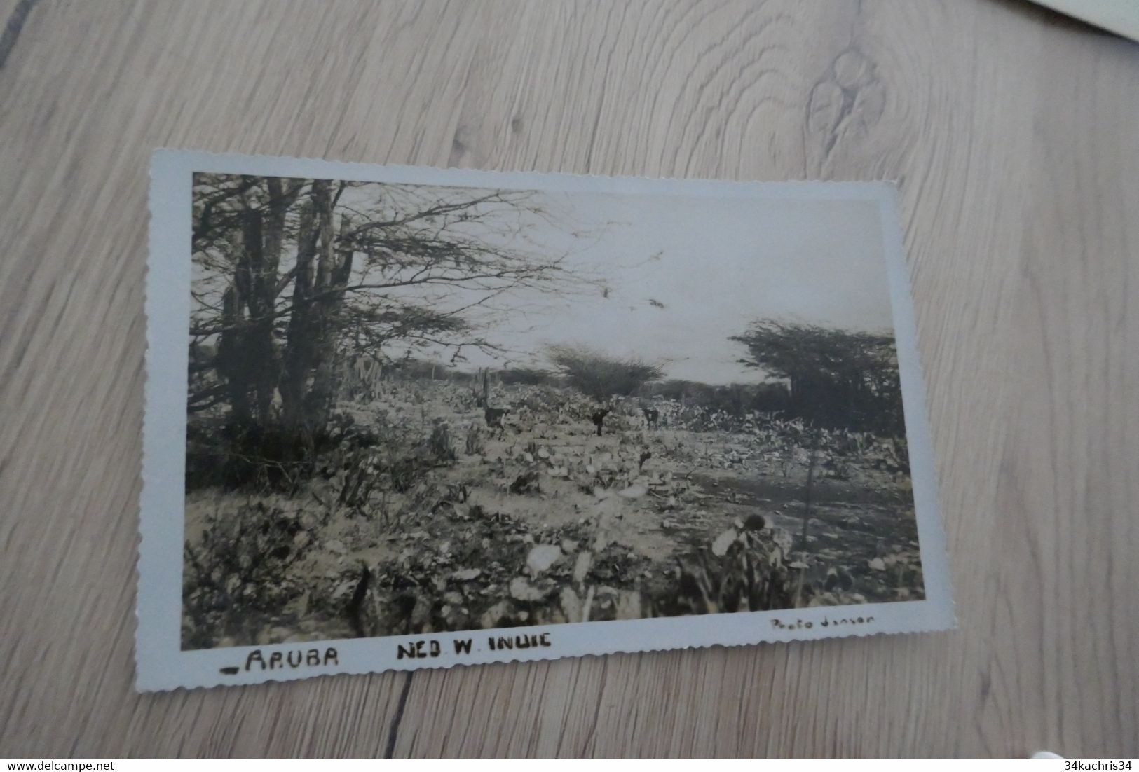 Carte Photo Aruba NEB W. Indie Proto Danser - Aruba