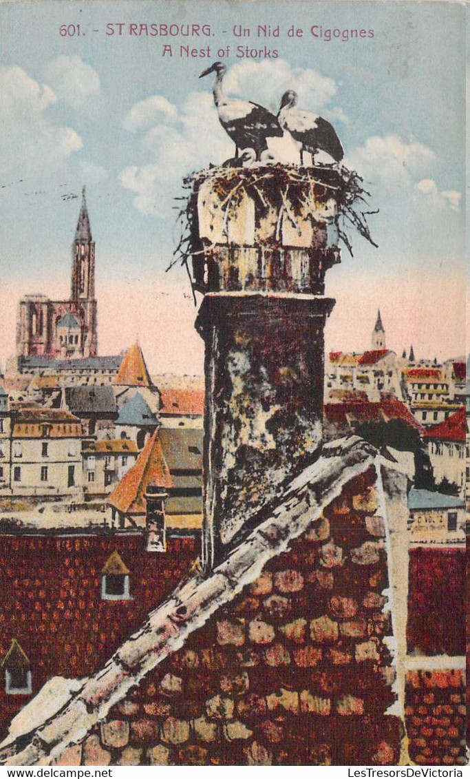 CPA - 67 - Strasbourg - Un Nid De Cigognes - A Nest Of Storks - Colorisée - Straatsburg