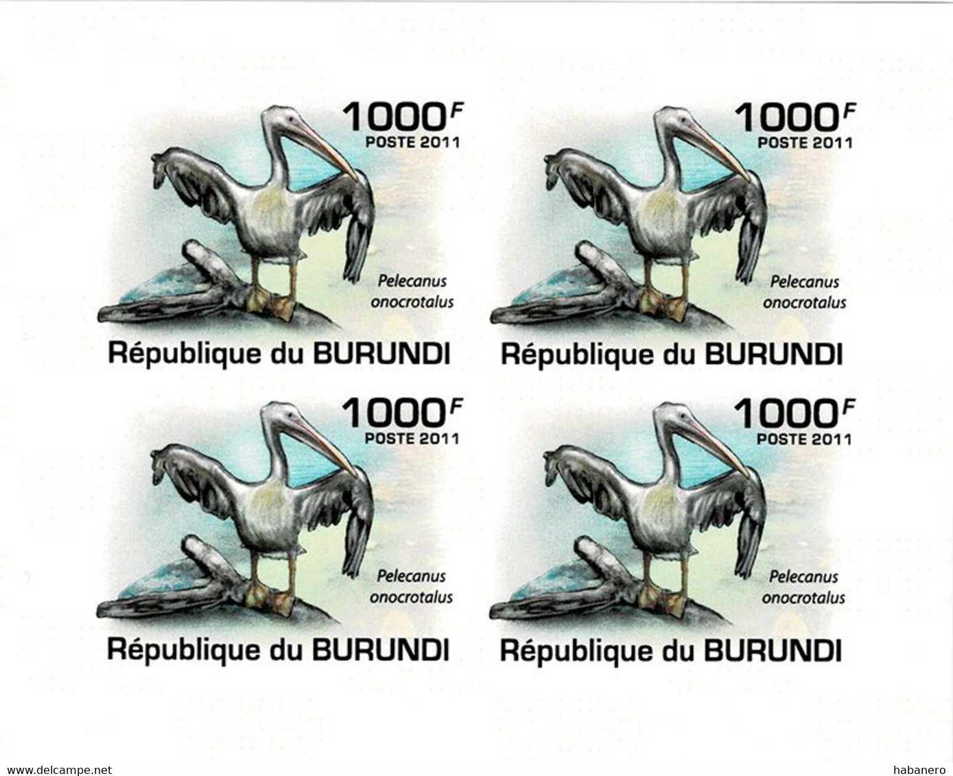 BURUNDI 2011 Mi 2006B KLB BIRDS PELICAN MINT IMPERFORATED MINIATURE SHEET ** - Pélicans