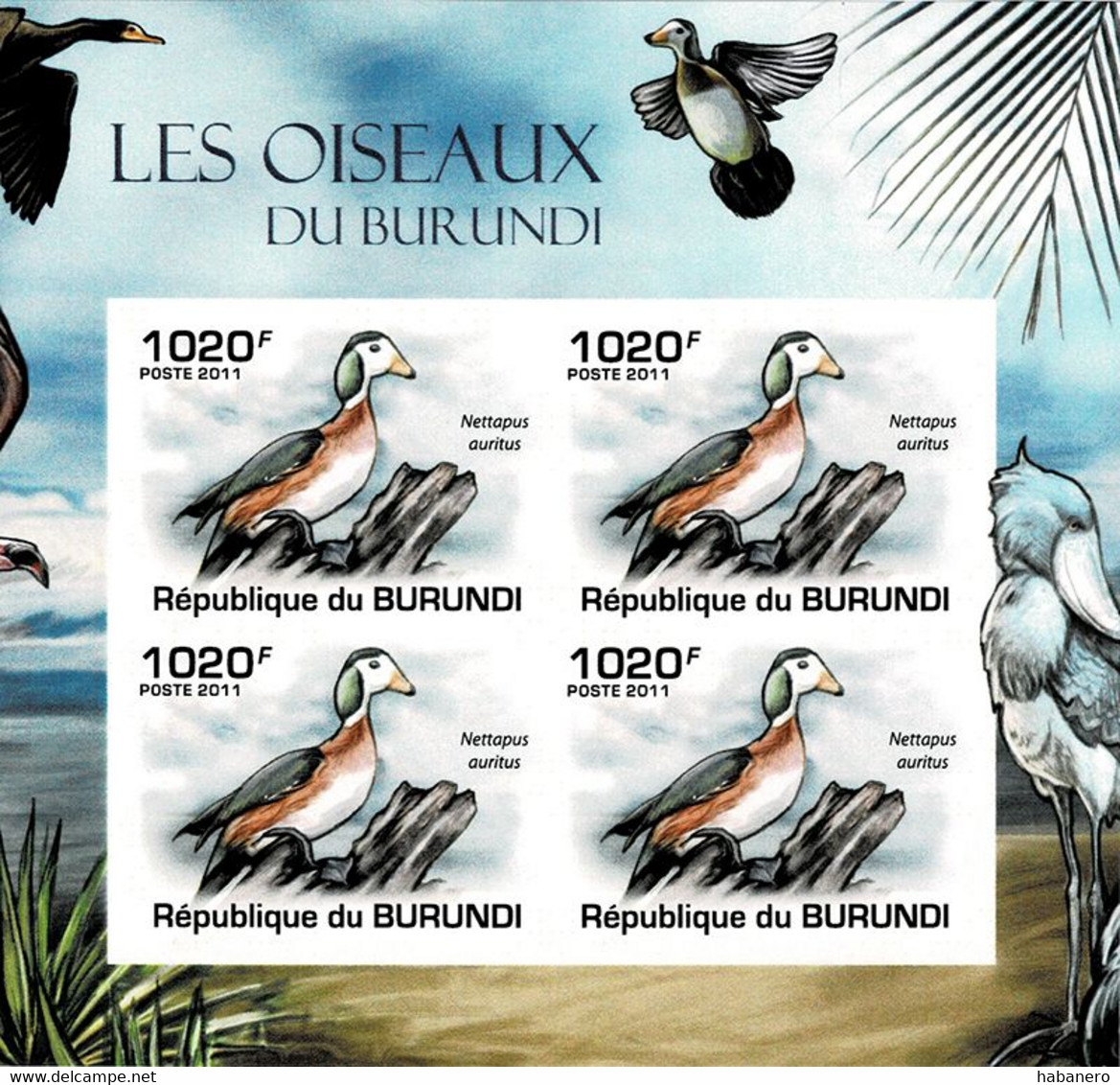 BURUNDI 2011 Mi 2011B KLB BIRDS AFRICAN PYGMEE GOOSE MINT IMPERFORATED MINIATURE SHEET ** - Oies