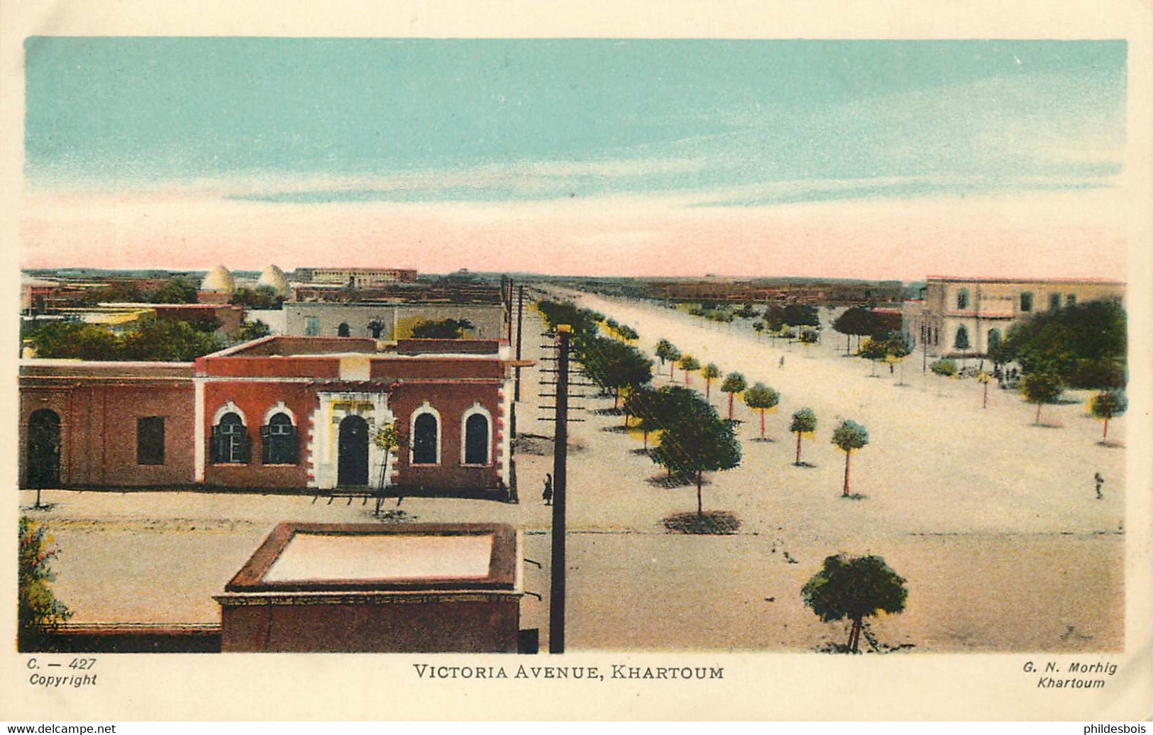 AFRIQUE  SOUDAN (édit Morhig Khartoum)   Victoria Avenue Khartoum - Sudán