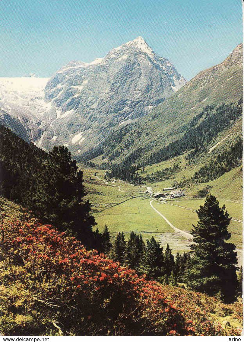 Austria > Tirol, Lusens, Lusenser Fernerkogel, Bezirk Innsbruck-Land, Used 1982 - Neustift Im Stubaital