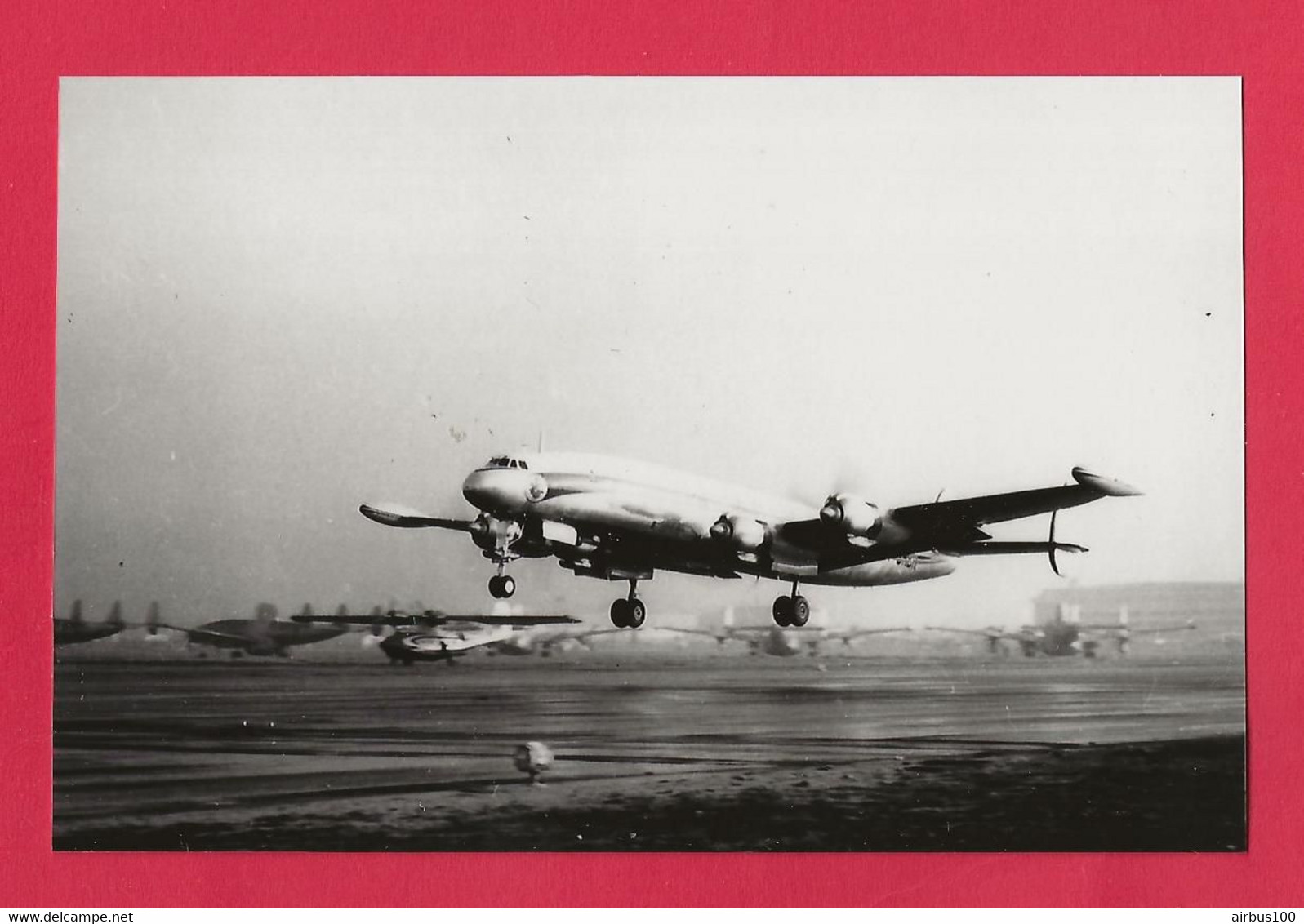 BELLE PHOTO REPRODUCTION AVION PLANE - COMPAGNIE LOCKHEED CONSTELLATION A L'ATTERRISSAGE - Aviación