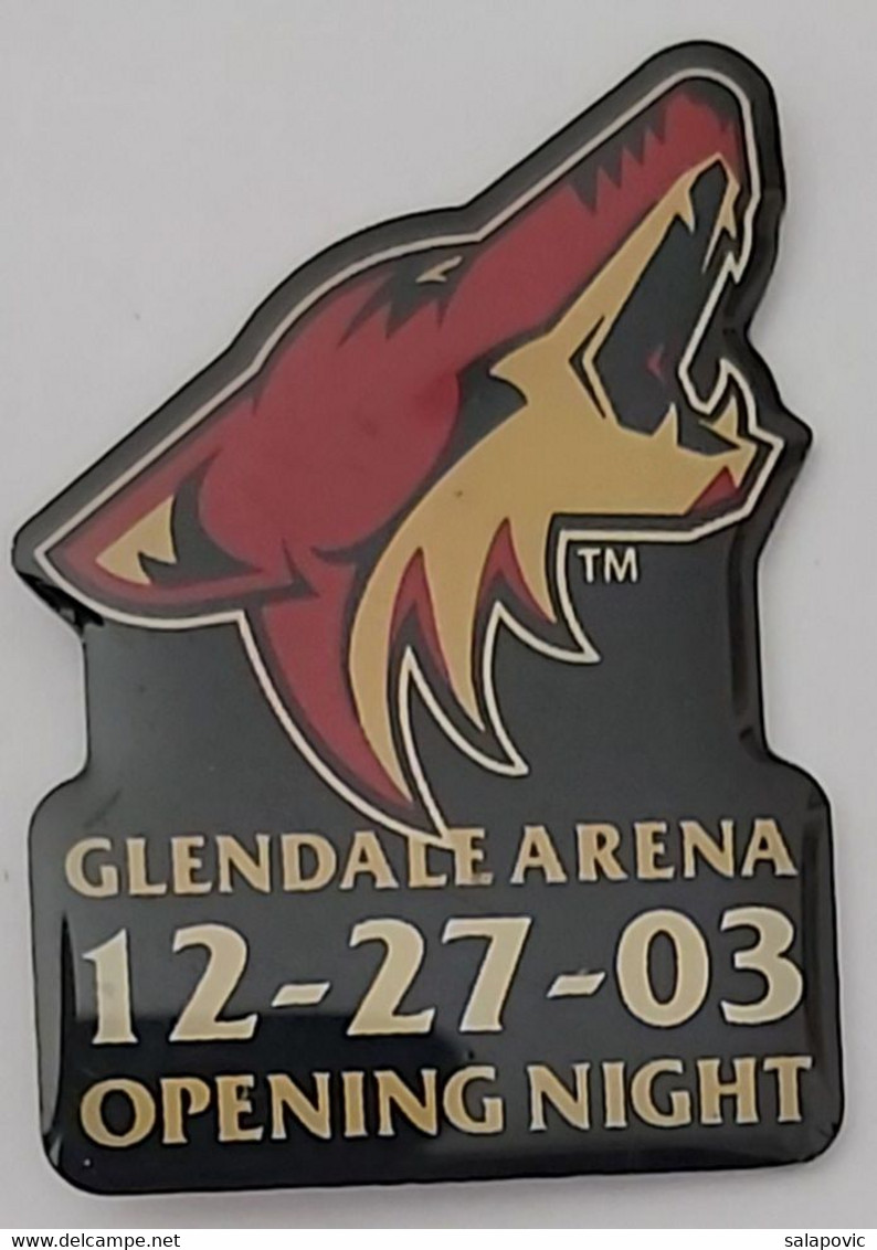 Glendale Arena USA Ice Hockey Club PINS A10/7 - Sports D'hiver