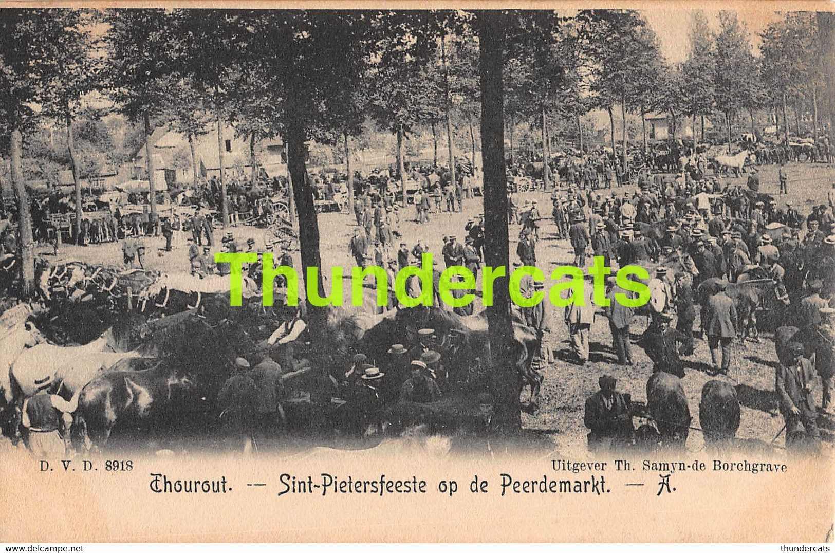 CPA TORHOUT THOUROUT SINT PIETERSFEESTE OP DE PEERDEMARKT DVD D.V.D. - Torhout