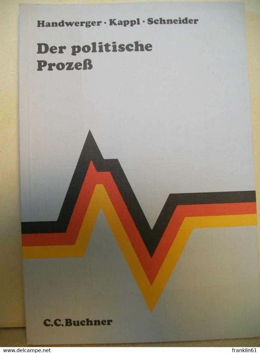 Der  Politische Prozess - Politik & Zeitgeschichte