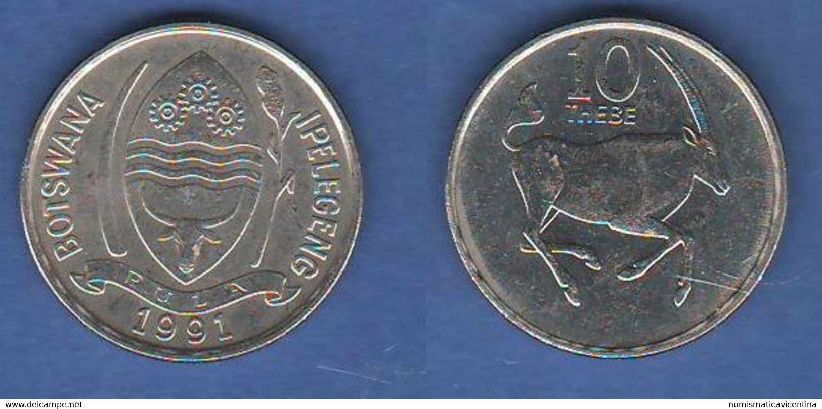 Botswana 10 Thebe 1991 Typological Currency - Botswana