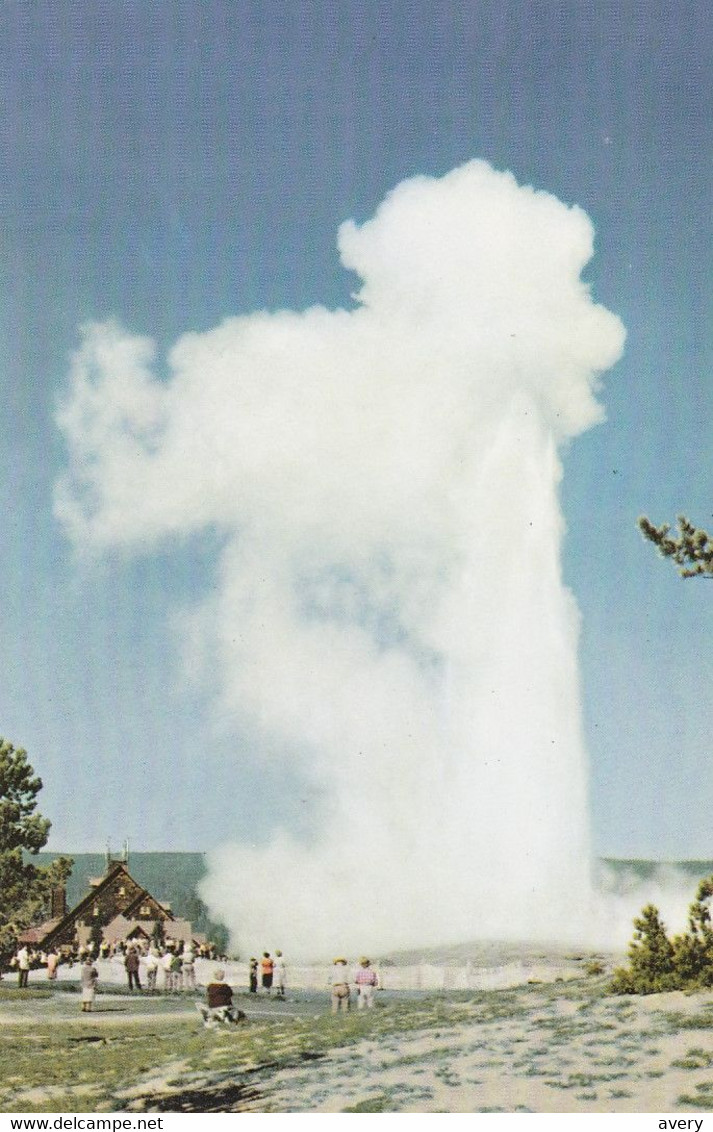 "Old Faithful" Geyser, Yellowstone National Park, Wyoming  Union Pacific Railroad Pictorial Post Card - Yellowstone