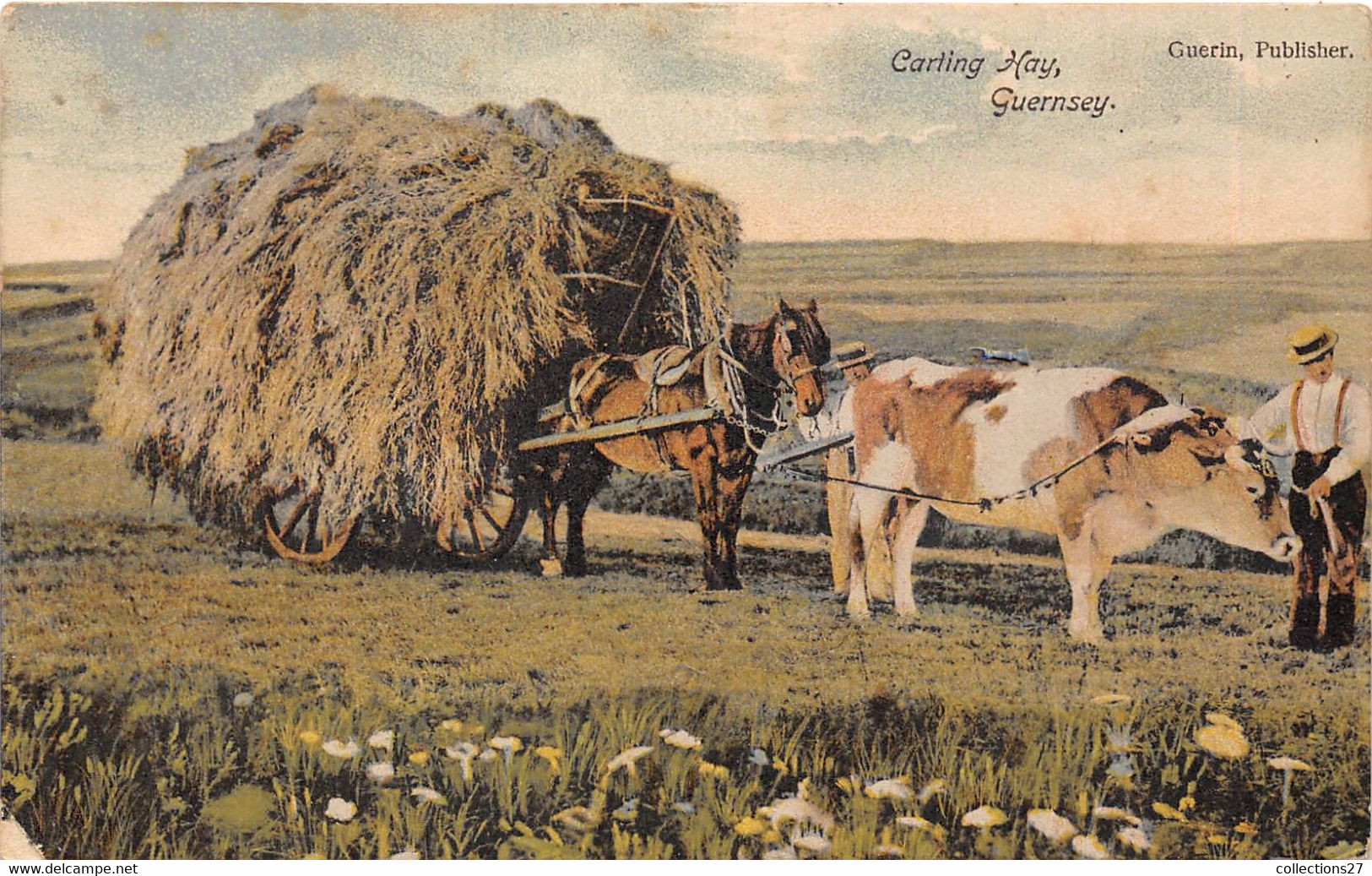 GUERNSEY- CHARIOT DE FOIN- CARTING HAY - Guernsey