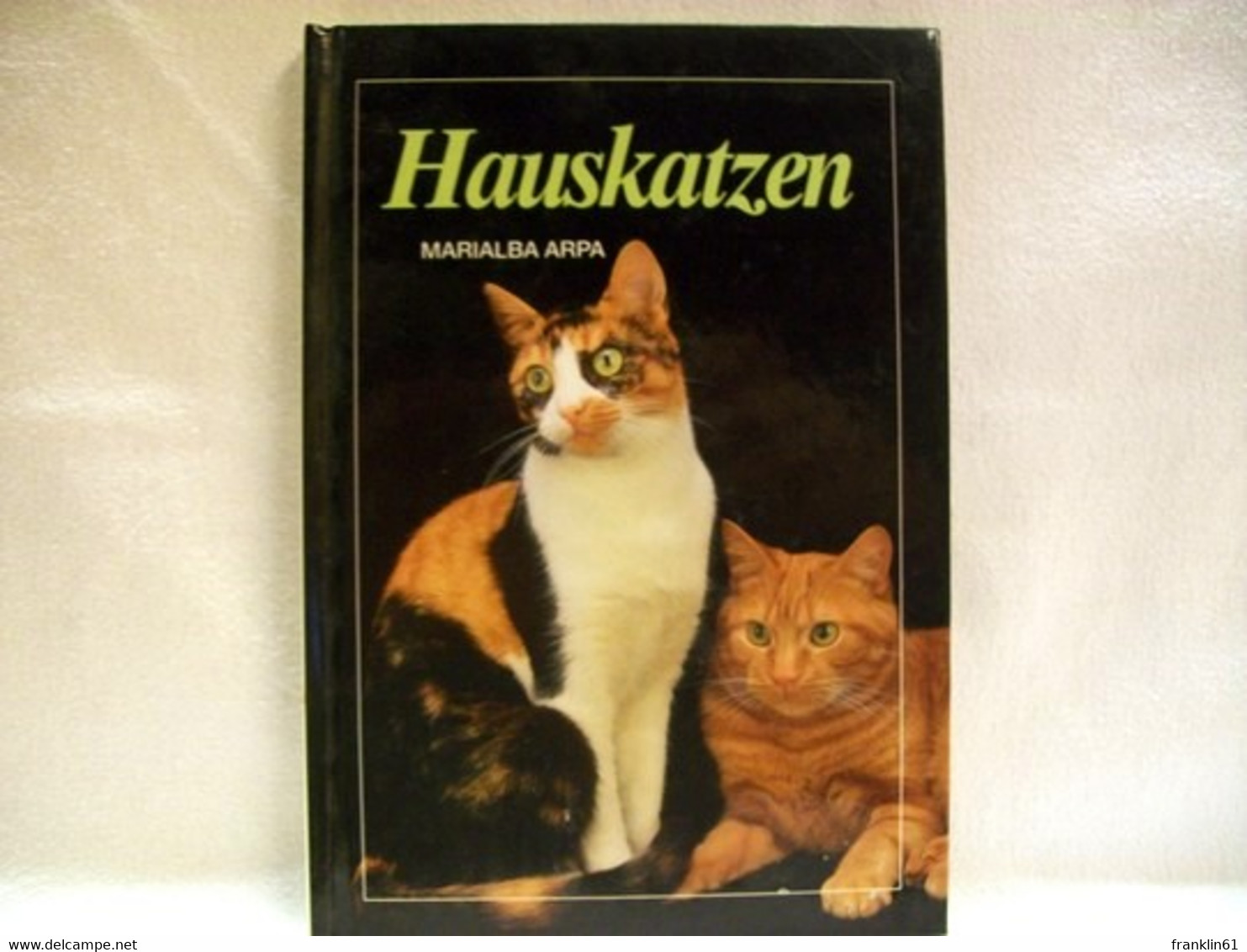 Hauskatzen - Animals