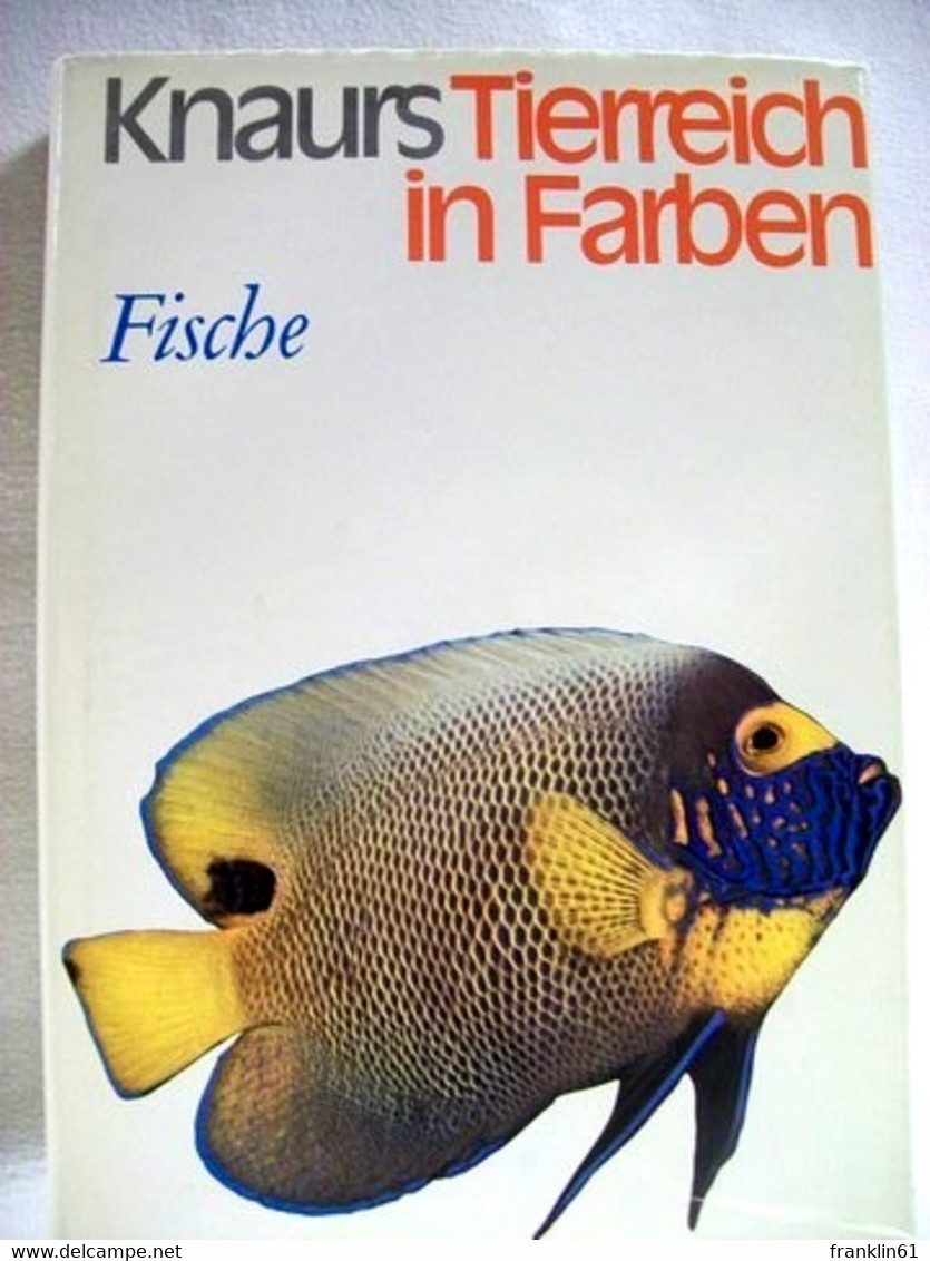 Fische. - Tierwelt