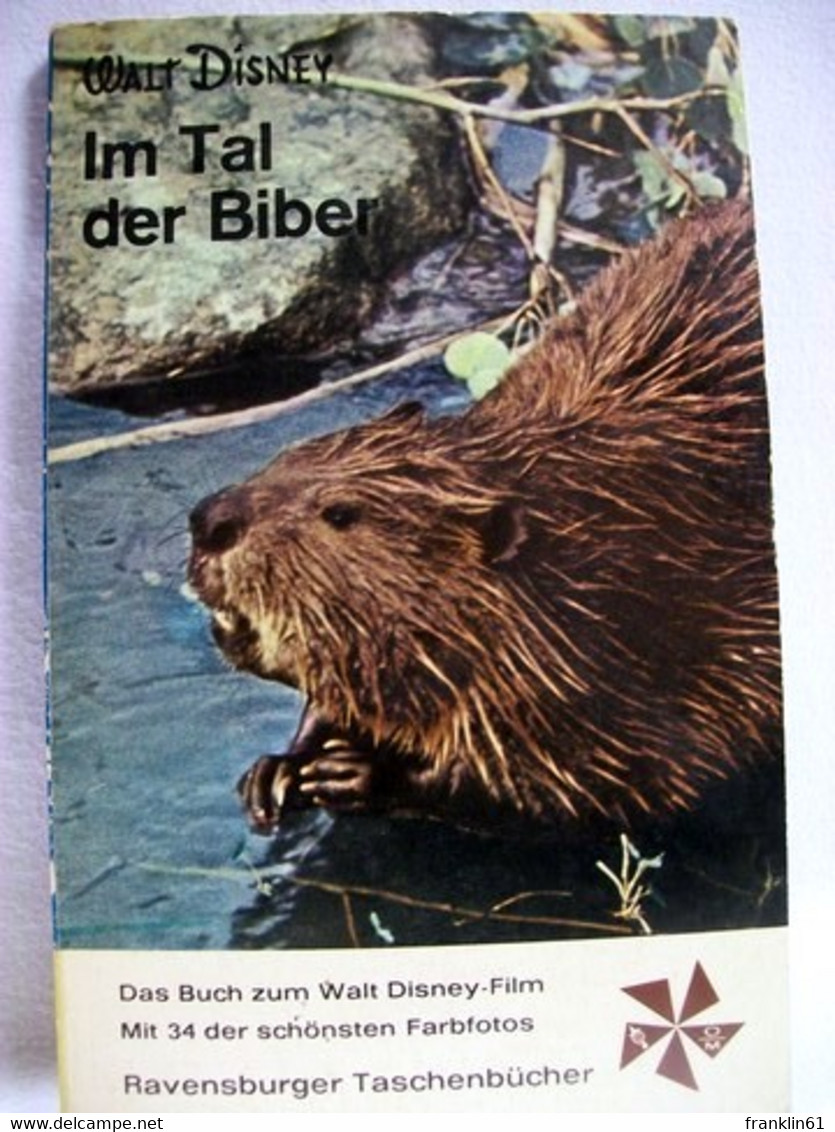 Im Tal Der Biber - Animales