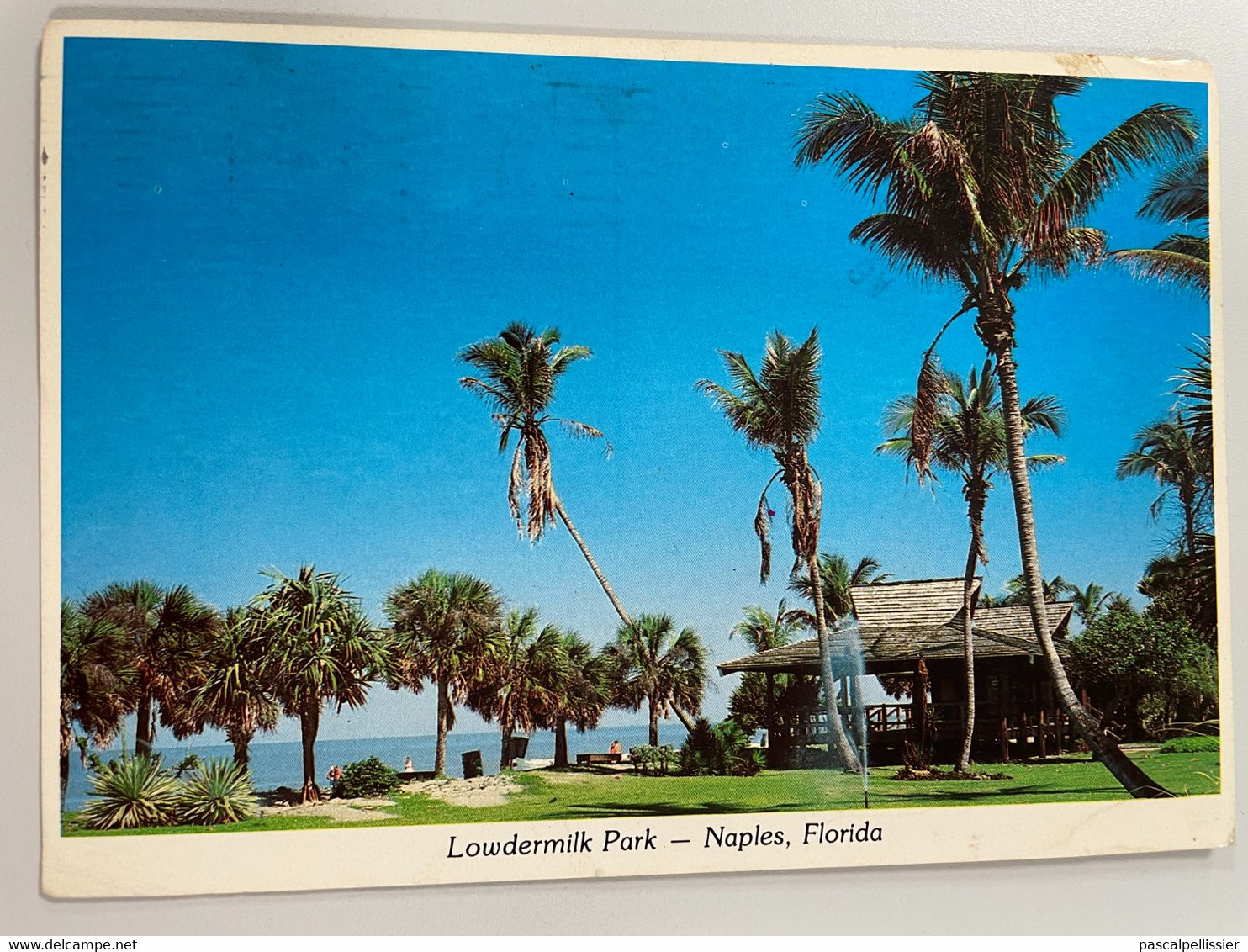 CPM - ETATS UNIS - Tropical Lowdermilk Park Naples-on-The-Gulf Florida - Naples