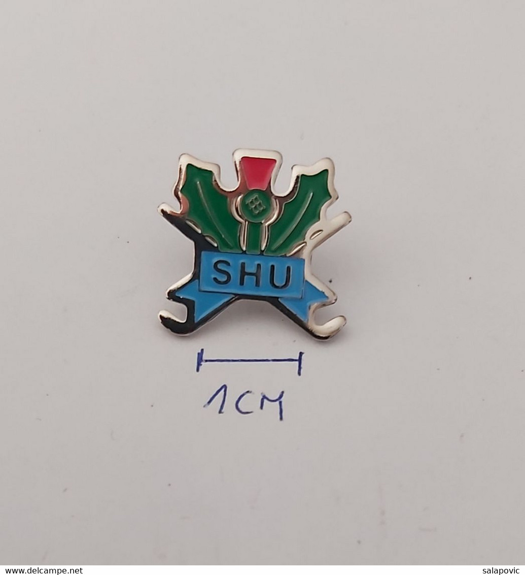 SHU Scotland Scottish Hockey Union Ice Hockey Federation Association Union PINS A10/7 - Sports D'hiver