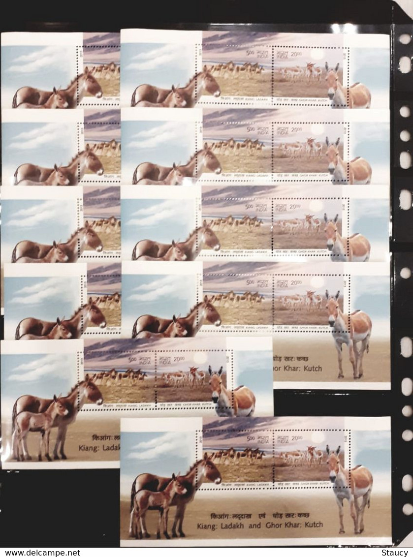 India 2013 Blech-Kiang: Ladakh And GHOR Khar: Kutch Se-tenant 2v Set Lot Of 10 Miniature Sheet MS MNH - Donkeys