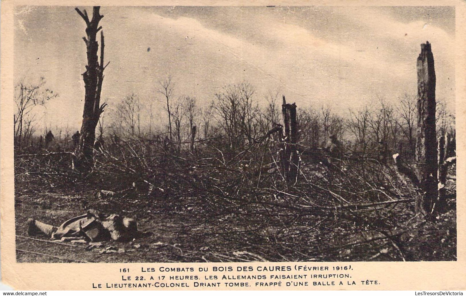 CPA Militariat - Les Combats Du BOIS Des Caures Février 1916 - 161 - Weltkrieg 1914-18