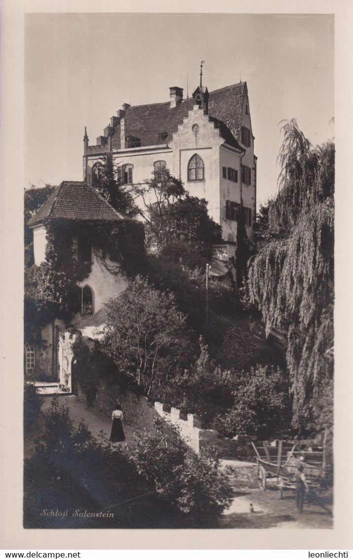 AK: Schloss Salenstein Im Kt. Thurgau - Salenstein