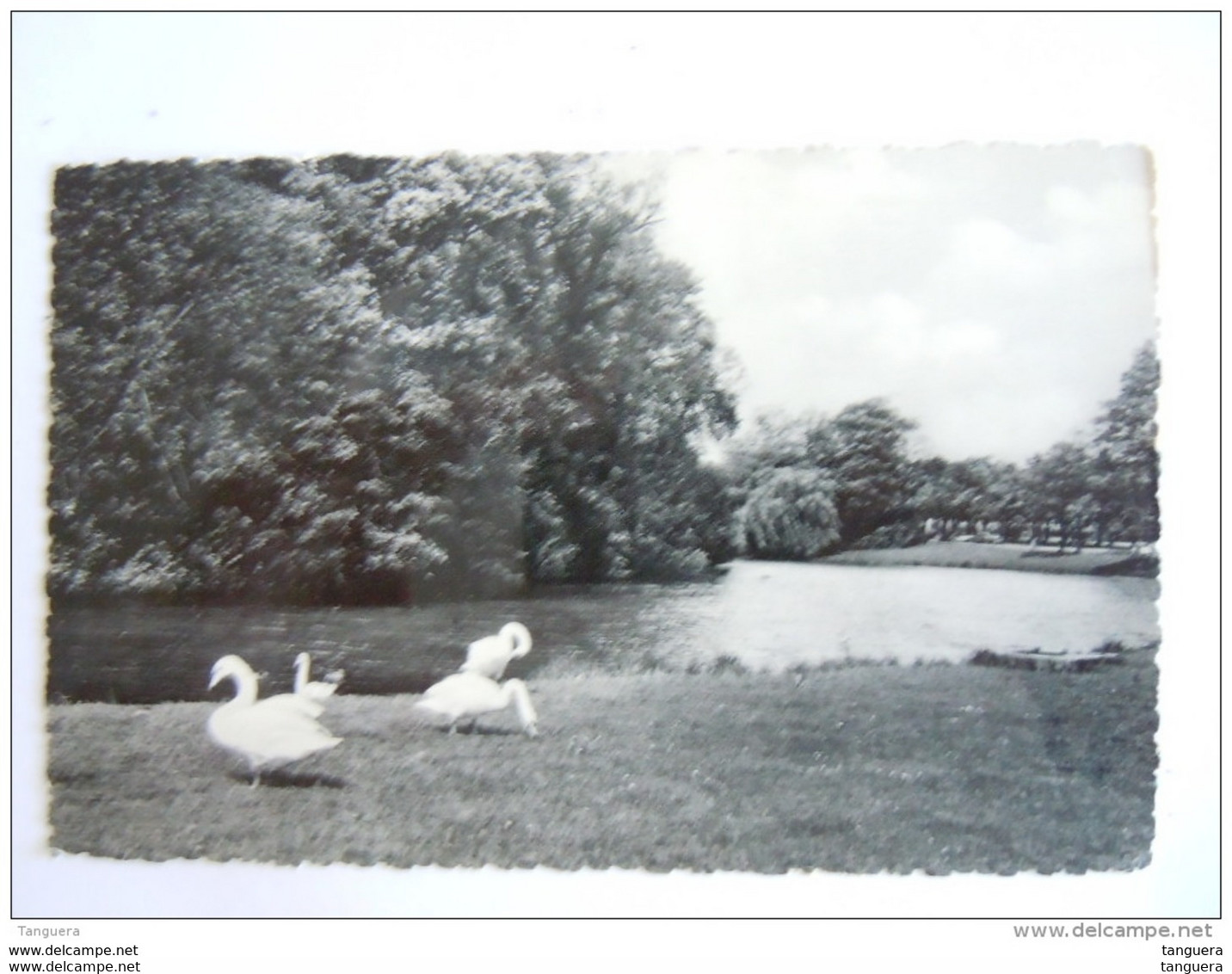 Etangs De Woluwé ST-Pierre Gelopen Circulée 1959 Edit Librairie Et Papeterie De Stocke - Woluwe-St-Pierre - St-Pieters-Woluwe