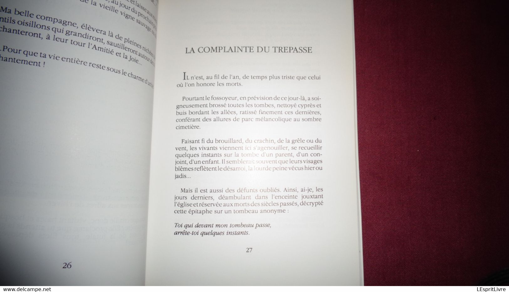 CHRONIQUES VILLAGEOISES Hansoul Régionalisme Auteur Belge Amay Contes Hesbaye Fumal Braives Grand Hallet - Belgische Schrijvers