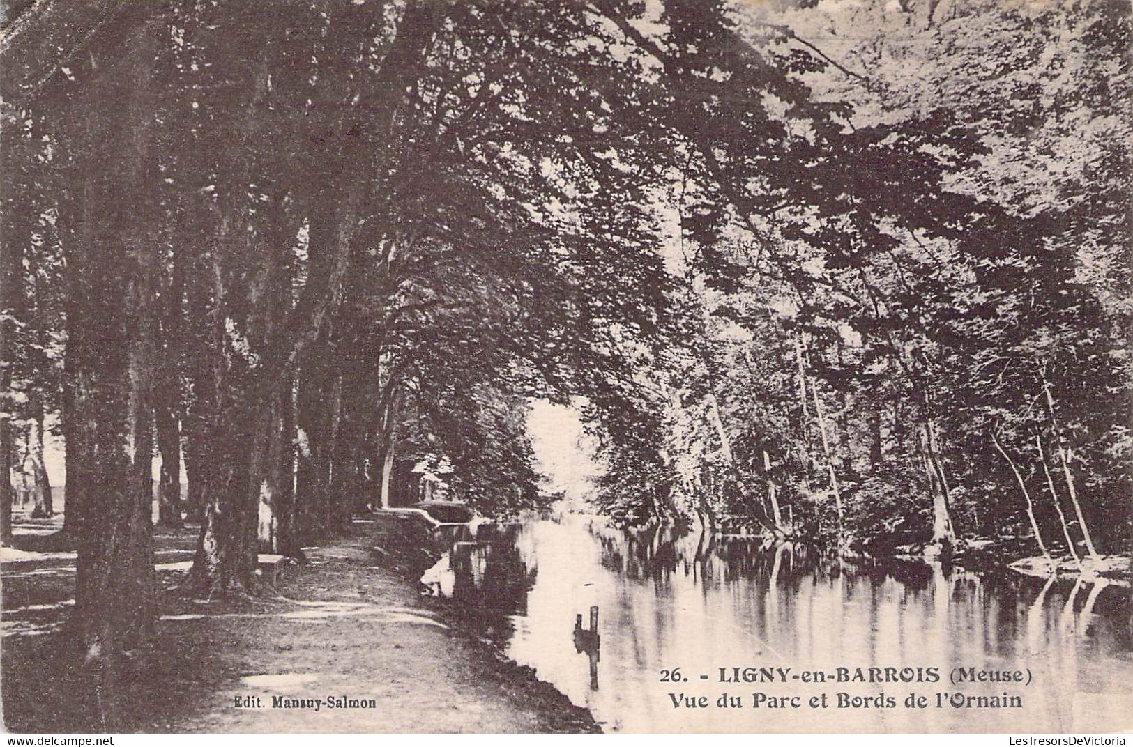 CPA 55 - LIGNY EN BARROIS - Vue Du Parc Et Bords De L'Ornain - Edition Salmon - Ligny En Barrois