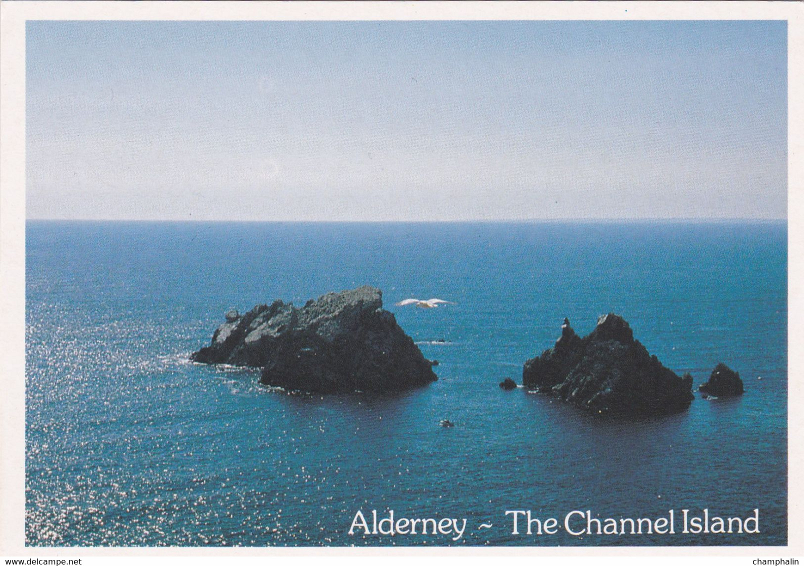 Alderney - The Channel Island - Coque Lihou - Alderney