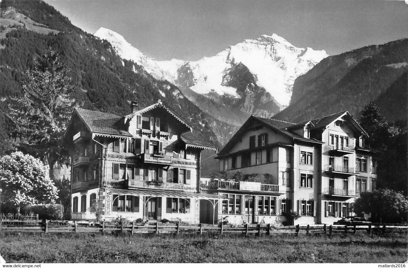 WILDERSWIL - HOTEL ALPENROSE ~ AN OLD REAL PHOTO POSTCARD #223530 - Wilderswil