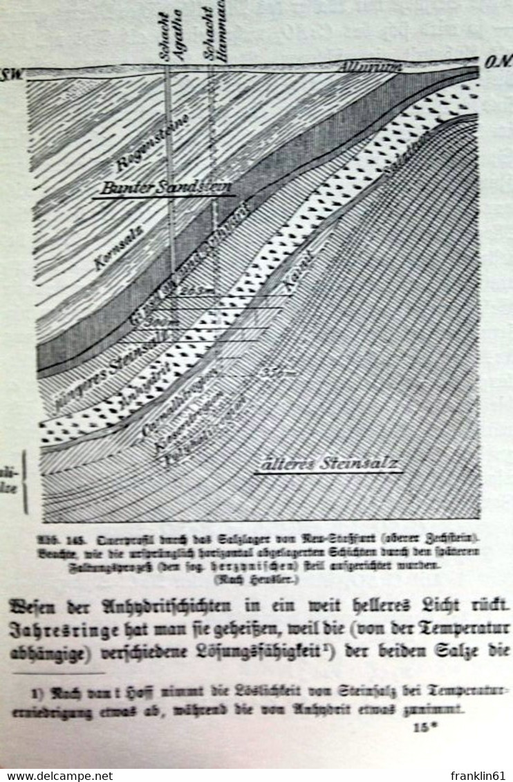 Geologisches Wanderbuch. Erster Teil. - Schulbücher