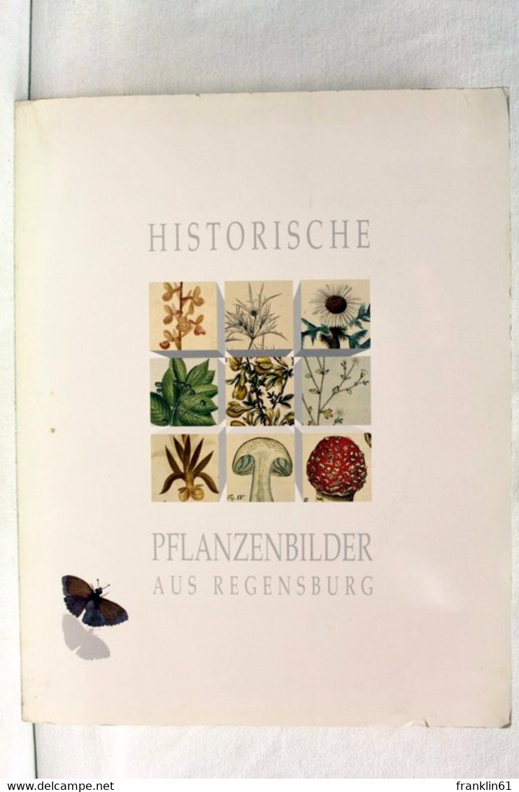 Historische Pflanzenbilder Aus Regensburg. - Natuur