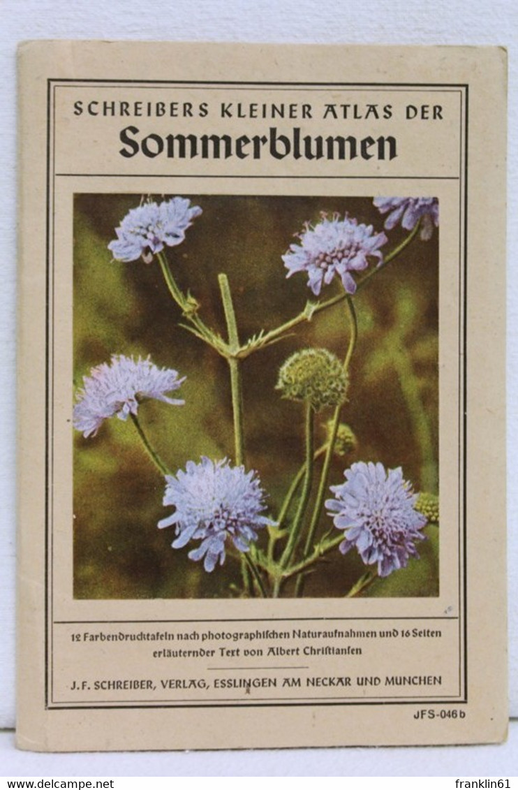 Schreibers Kleiner Atlas: Sommerblumen - Natura