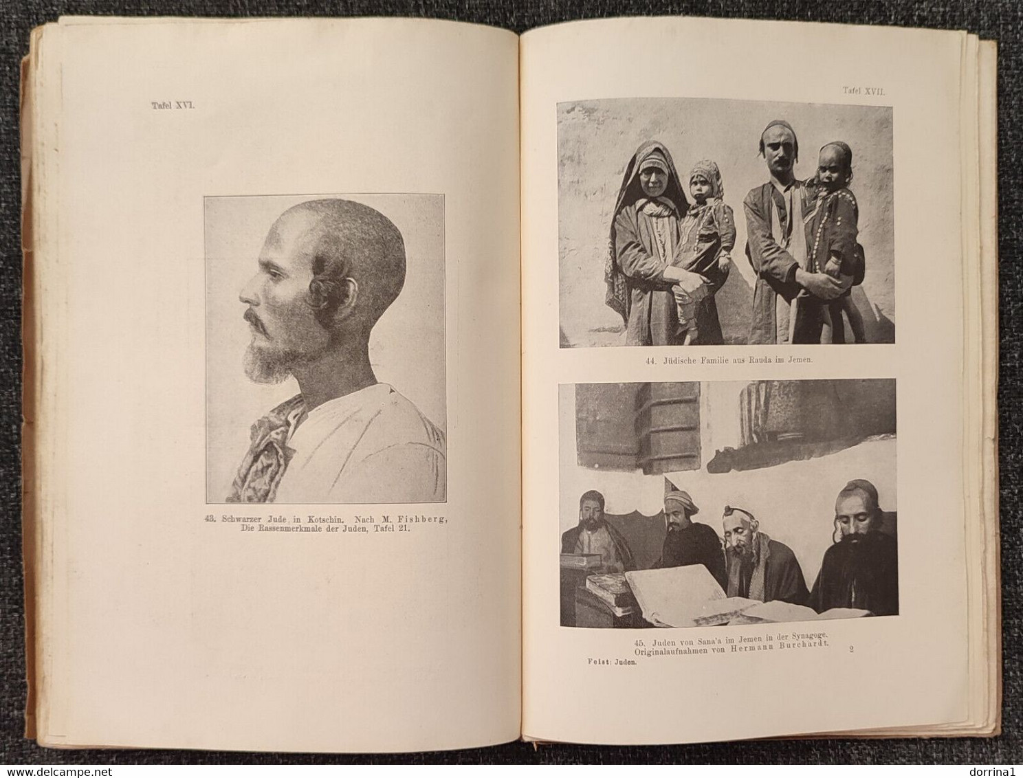 Sigmund Feist Stammeskunde Der Juden 1925 Jewish Judaica Book - Juif Juive Israelite - Judaïsme