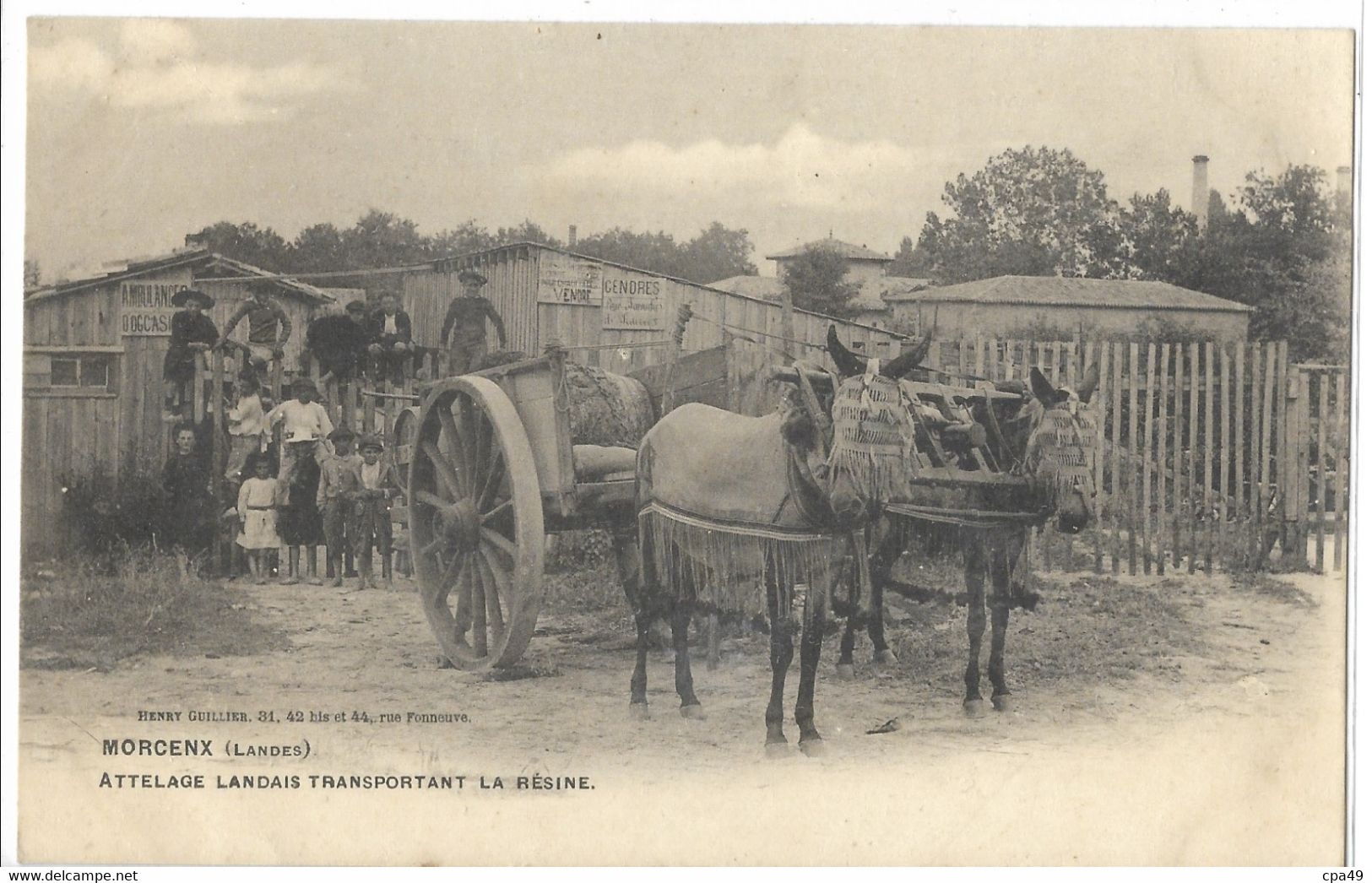 40   MORCENX  ATTELAGE  LANDAIS  TRANSPORTANT  LA  RESINE - Morcenx