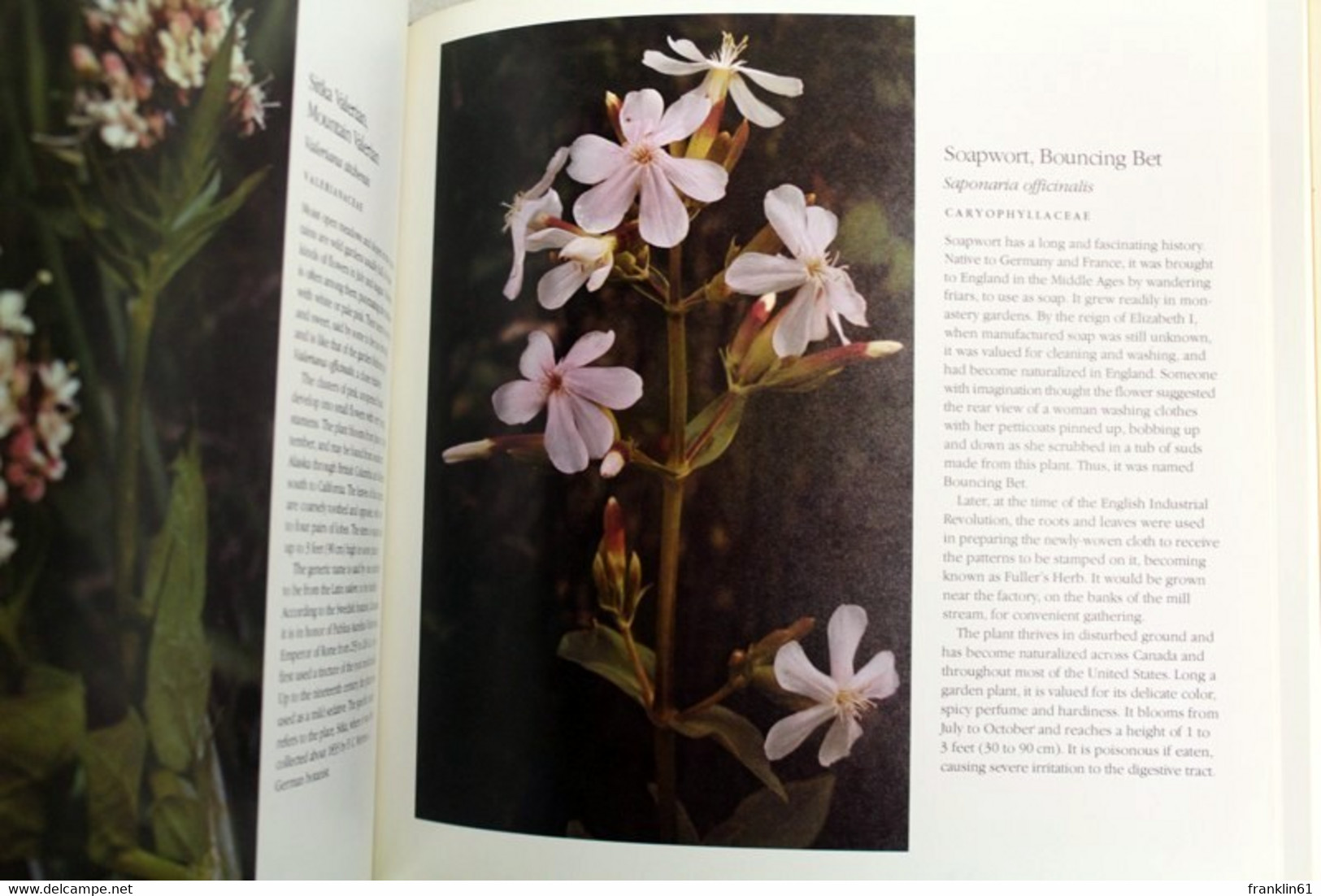 Canadian Wildflowers , Through The Seasons - Tierwelt