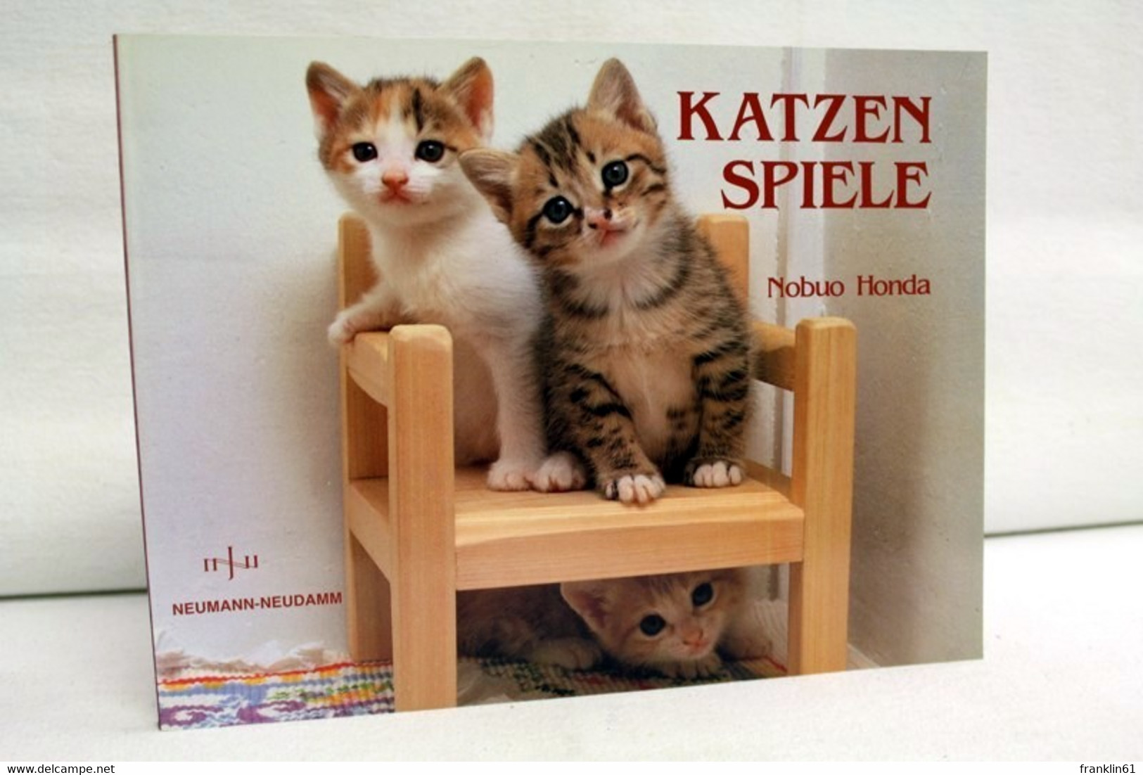 Katzen Spiele - Katzenspiele - Dieren