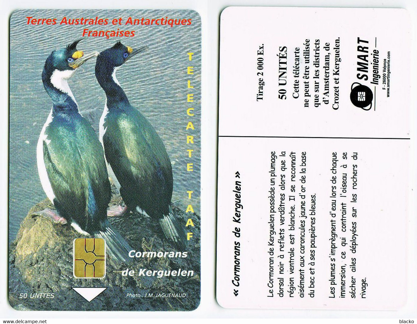 TAAF - Cormorans De Kerguelen - Dbz02 - TAAF - Territorios Australes Franceses