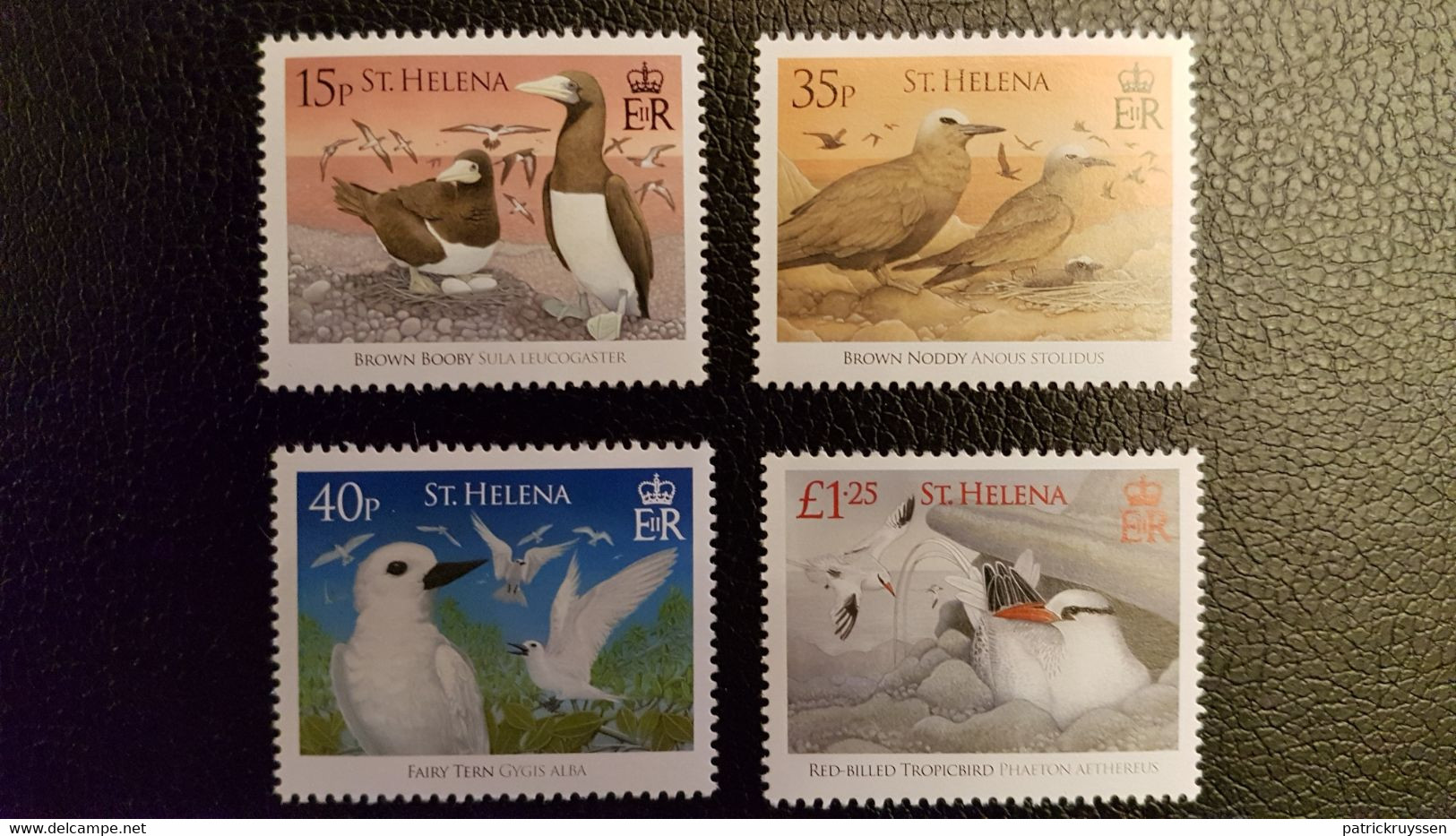 St Helena 2008 Helene Birds Oiseaux Mouettes Albatros Aves Vogel  4 Mnh - Sainte-Hélène