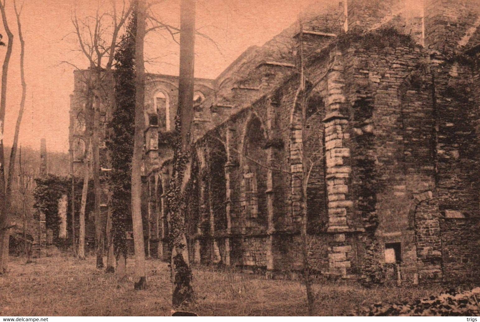 Villers (Abbaye) - Église (Côté Extérieur) - Villers-la-Ville