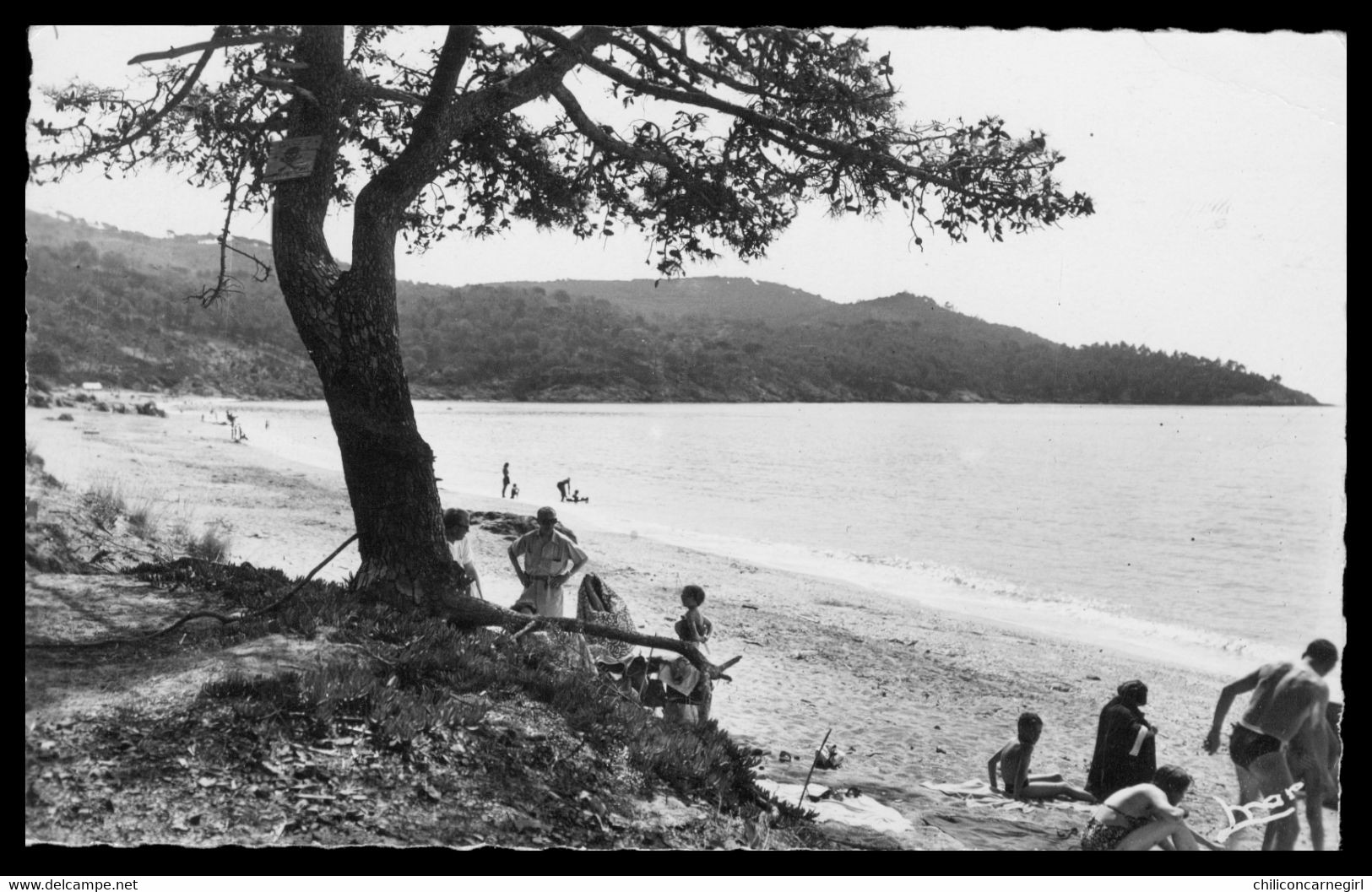 * Cpsm - CAVALAIRE SUR MER - Plage Du Gigaro - Animée - 8182 - Edit. MAR - 1952 - Cavalaire-sur-Mer