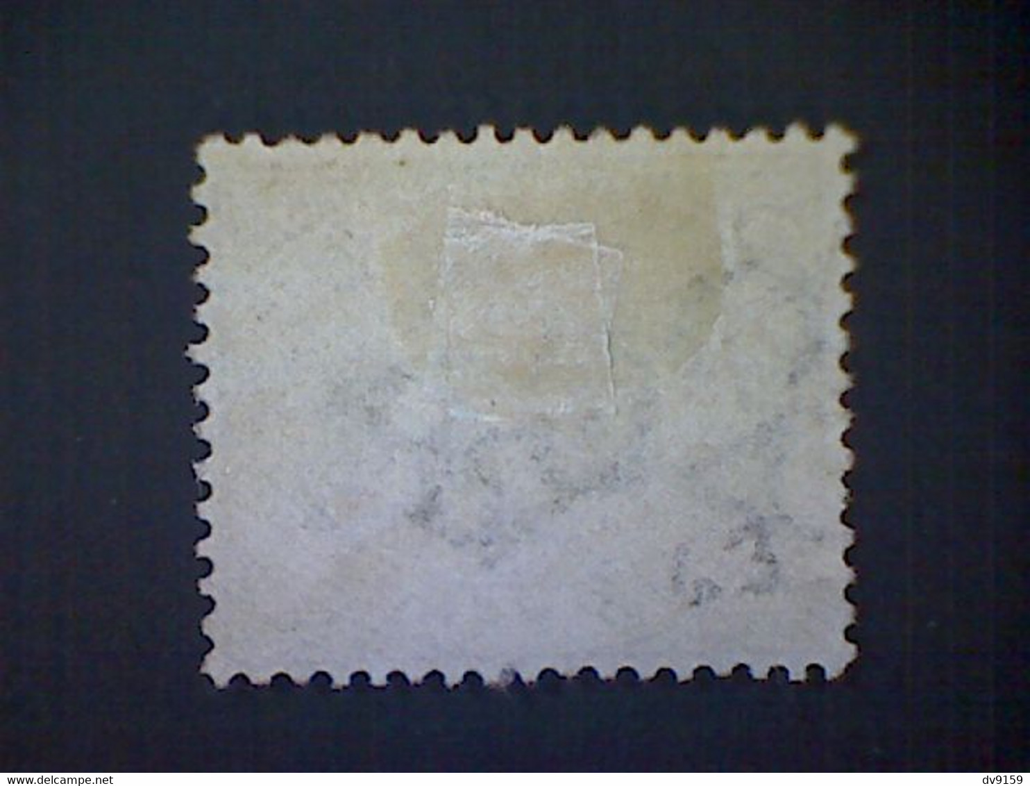 Australia (State Of Western Australia), Scott #63, Used (o), 1890, Black Swan, 2p, Slate - Used Stamps