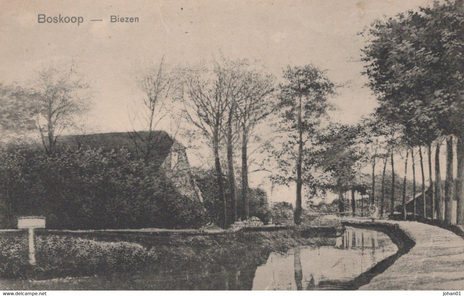 BOSKOOP - 1909- Biezen - Boskoop