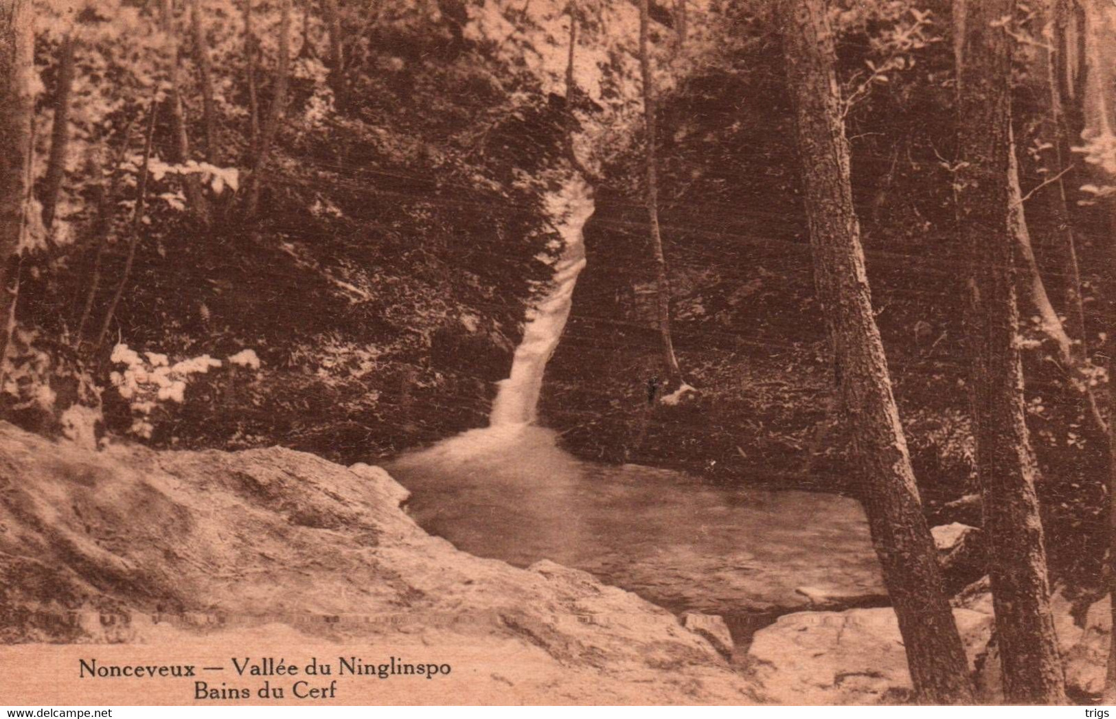 Nonceveux - Vallée Du Ninglinspo, Bains Du Cerf - Aywaille