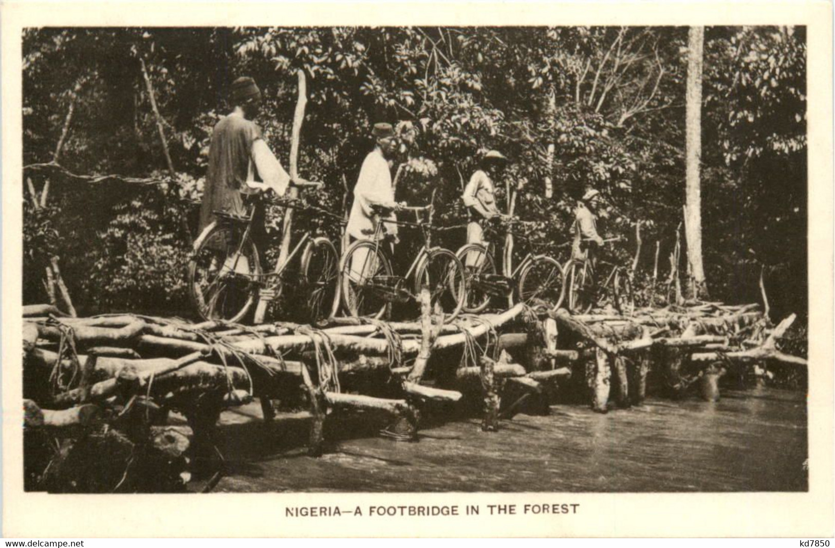 Nigeria - A Footbridge In The Forest - Nigeria